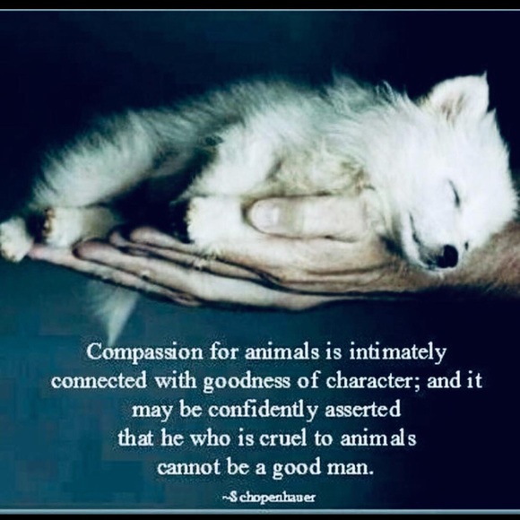 Meet your Posher, Heidi - Picture 3 of 12